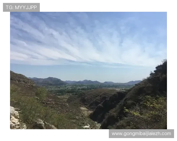 叶汉三株路打法详解,提升你的游戏战术水平与实战技巧 叶汉三株路打法详解,提升你的游戏战术水平与实战技巧