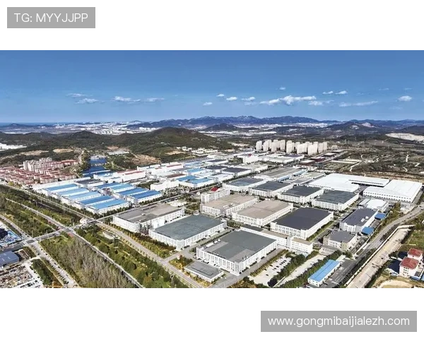 打造专业化视讯官网服务体系实现用户粘性与品牌价值的双提升 打造专业化视讯官网服务体系实现用户粘性与品牌价值的双提升