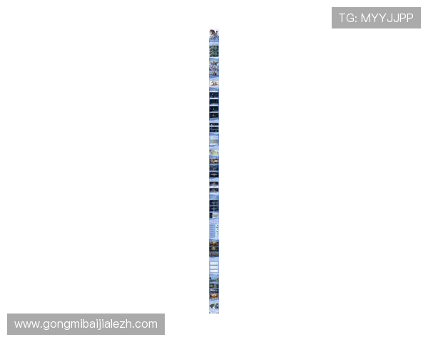 最新安博真人APP下载安装指南,助你快速开启精彩纷呈的游戏世界