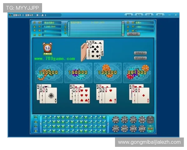 深入解析百家乐技巧与规则，助你理解游戏本质实现稳健盈利的实战经验分享