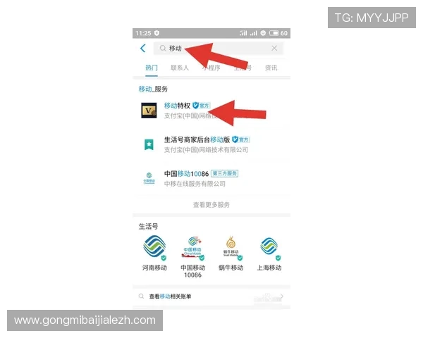 WM视讯下载后常见问题及解决方案,帮助用户快速排查使用中的各种困扰 WM视讯下载后常见问题及解决方案,帮助用户快速排查使用中的各种困扰